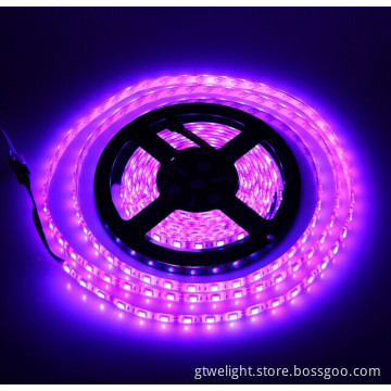 Remote Control LED Strip, Life Time More Than 50000 Hours